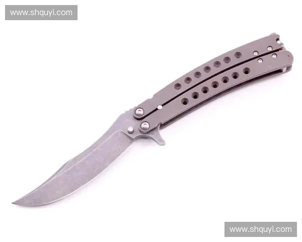 《CSGO刀具大全与稀有价值解析揭示刀具背后的文化与收藏热潮》